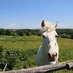 Nyaraló Casale Oliveto Della Mola *