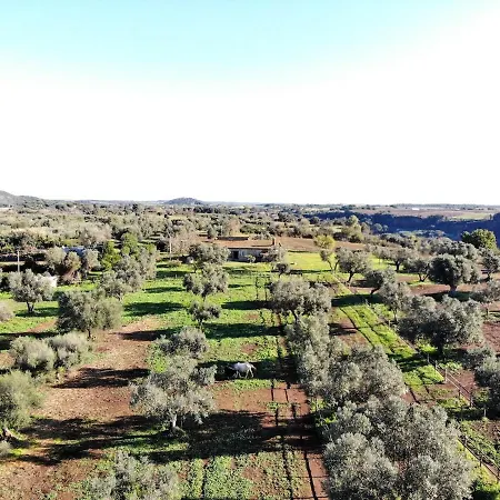 Casale Oliveto Della Mola Cerveteri